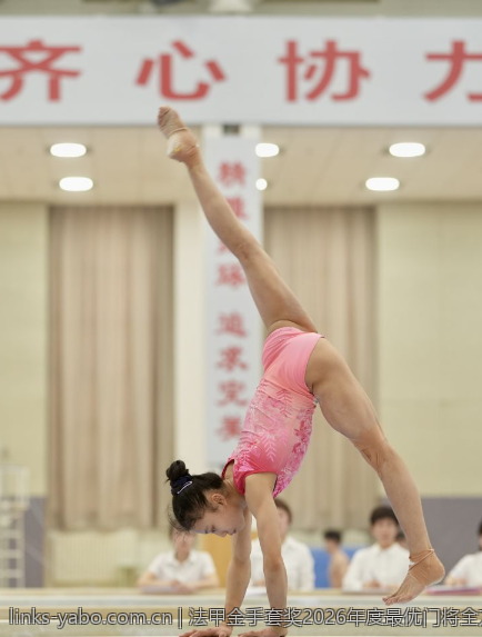 法甲金手套奖2026年度最优门将全方位盘点