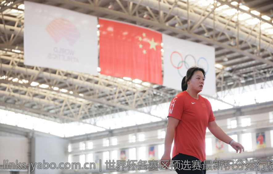 世界杯各赛区预选赛最新积分排行榜全景分析