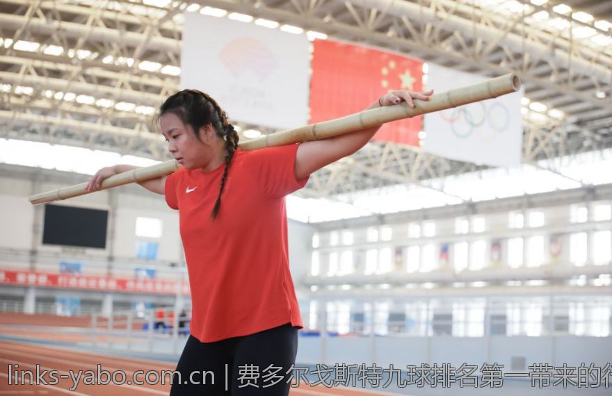 费多尔戈斯特九球排名第一带来的行业新变革